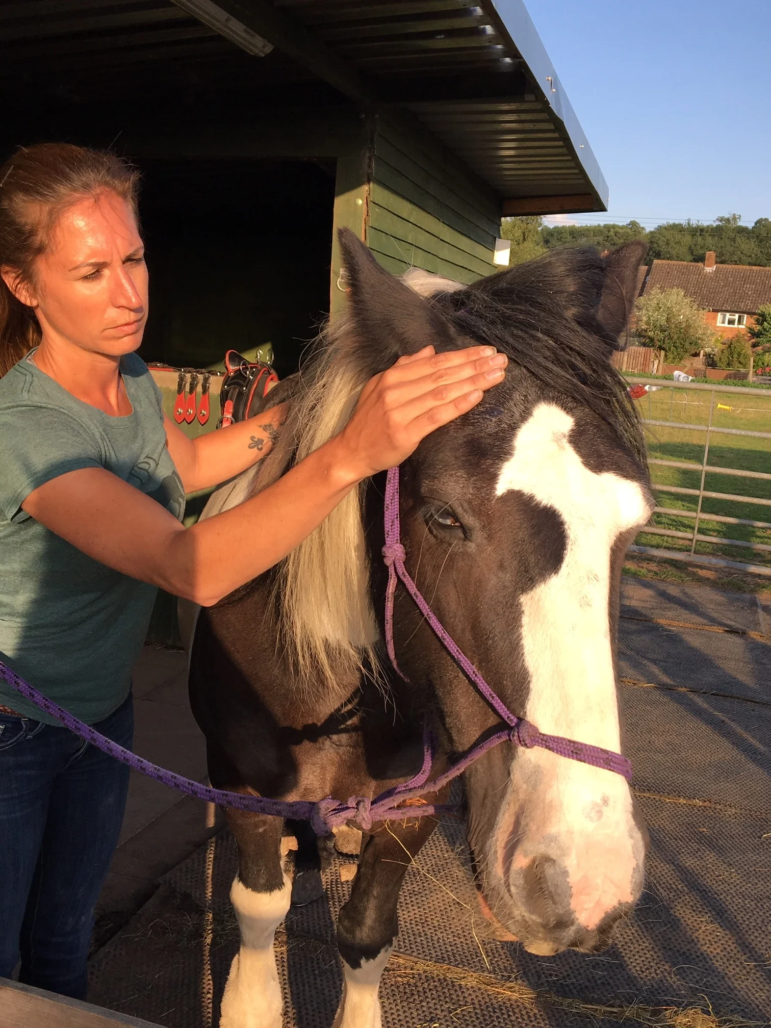 Massage Techniques Part 1