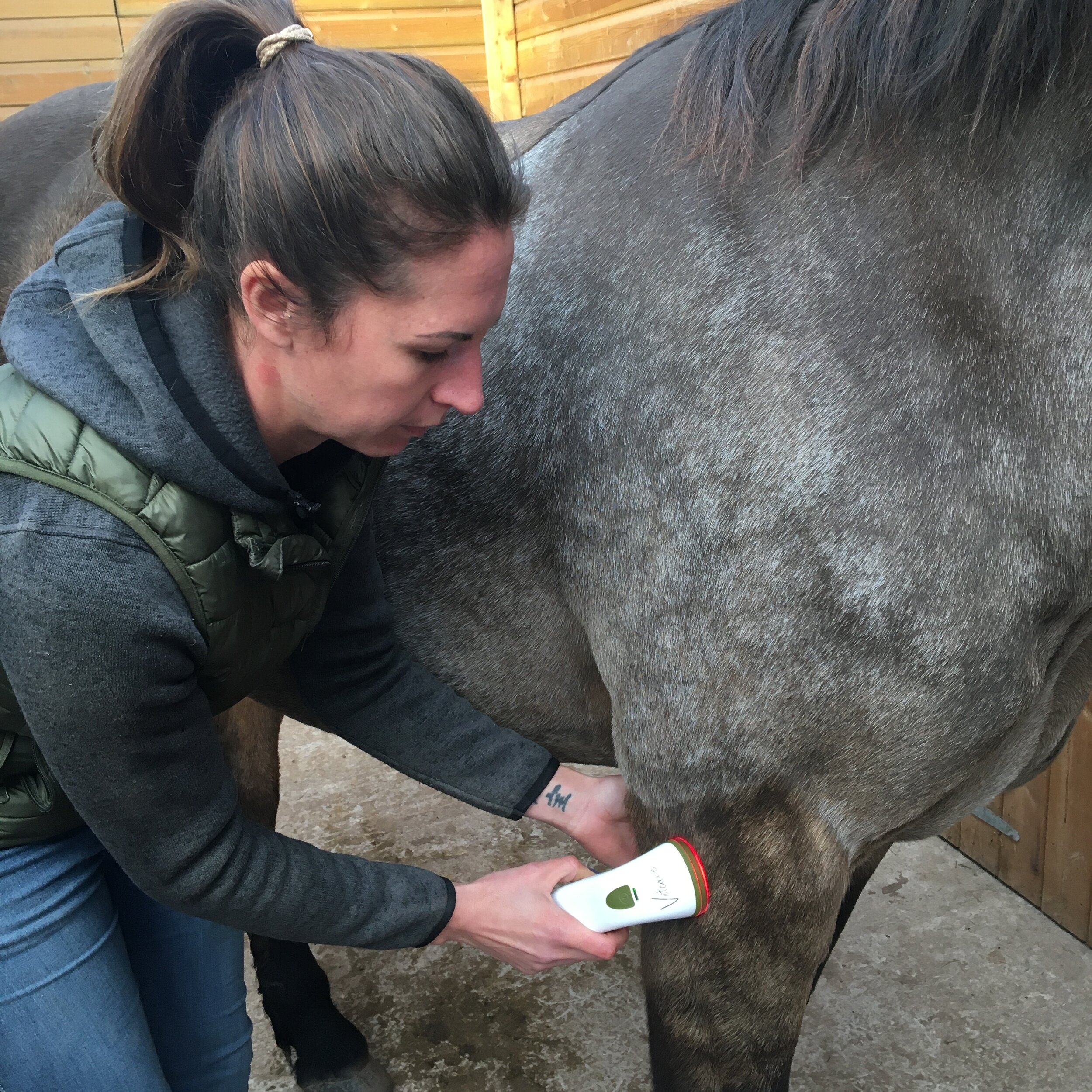 jessica_Limpkin_equine_massage_therapy_red_light_photizo_phototonic_vetcare_led_infrared.JPG