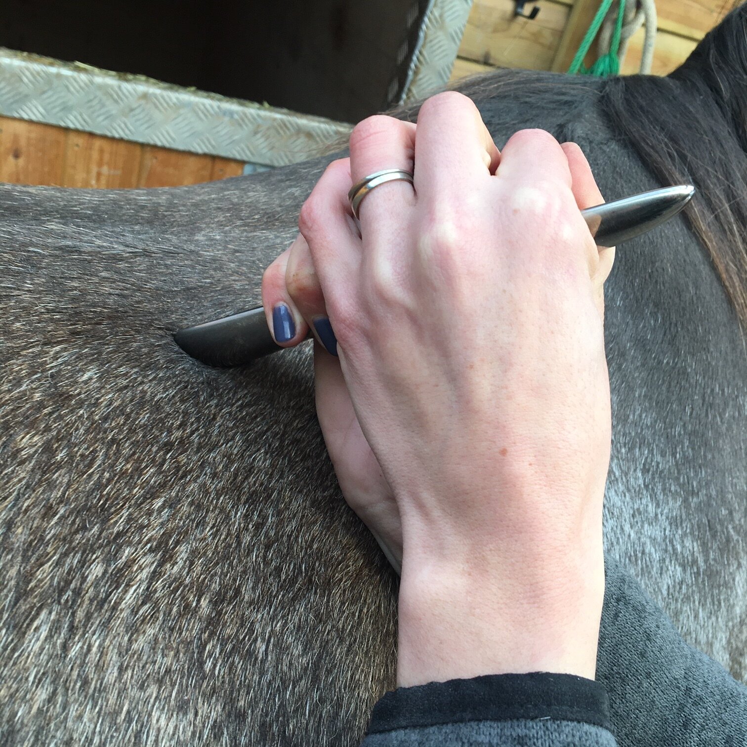 jessica_limpkin_equine_massage_therapy_therapist_myofascial_release_thefascialedge_fascial_edgeing.JPG