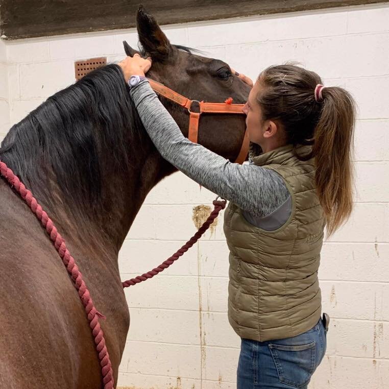 jessica_limpkin_equine_horse_massage_therapy_therapist_worcester_worcestershire_web_gallery_(1).jpg