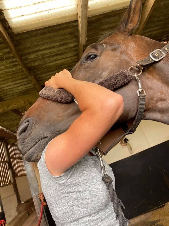 jessica_limpkin_equine_horse_massage_therapy_therapist_worcester_worcestershire_web_gallery_(7).jpg