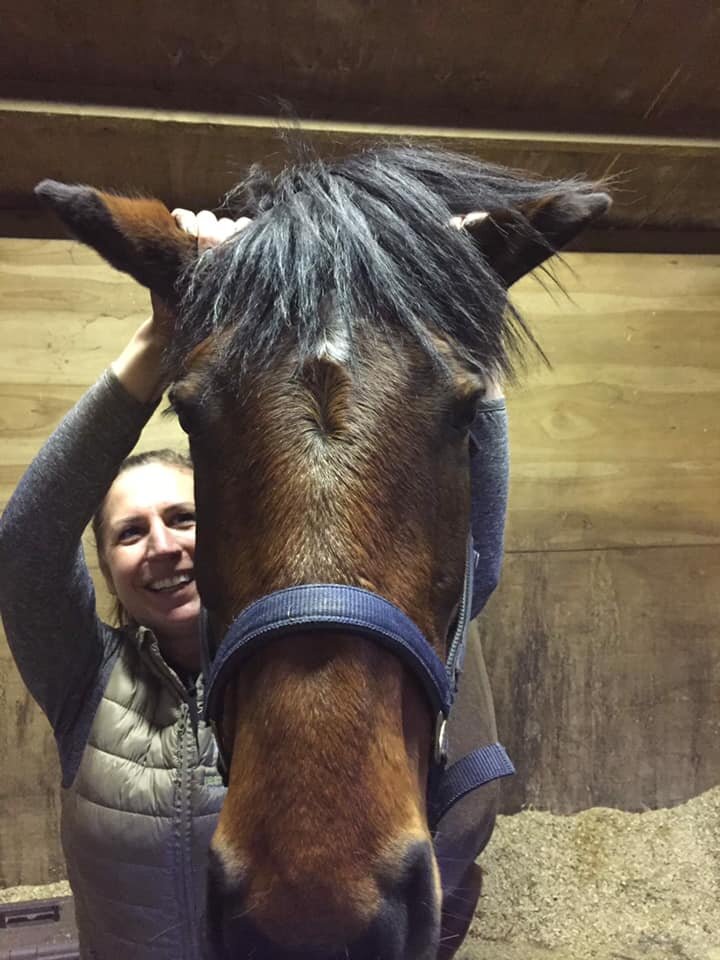 jessica_limpkin_equine_horse_massage_therapy_therapist_worcester_worcestershire_web_gallery_(15).jpg