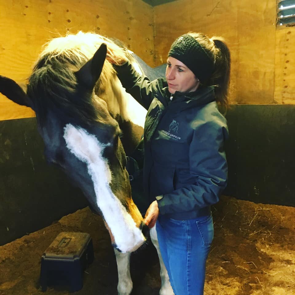 jessica_limpkin_equine_horse_massage_therapy_therapist_worcester_worcestershire_web_gallery_(16).jpg