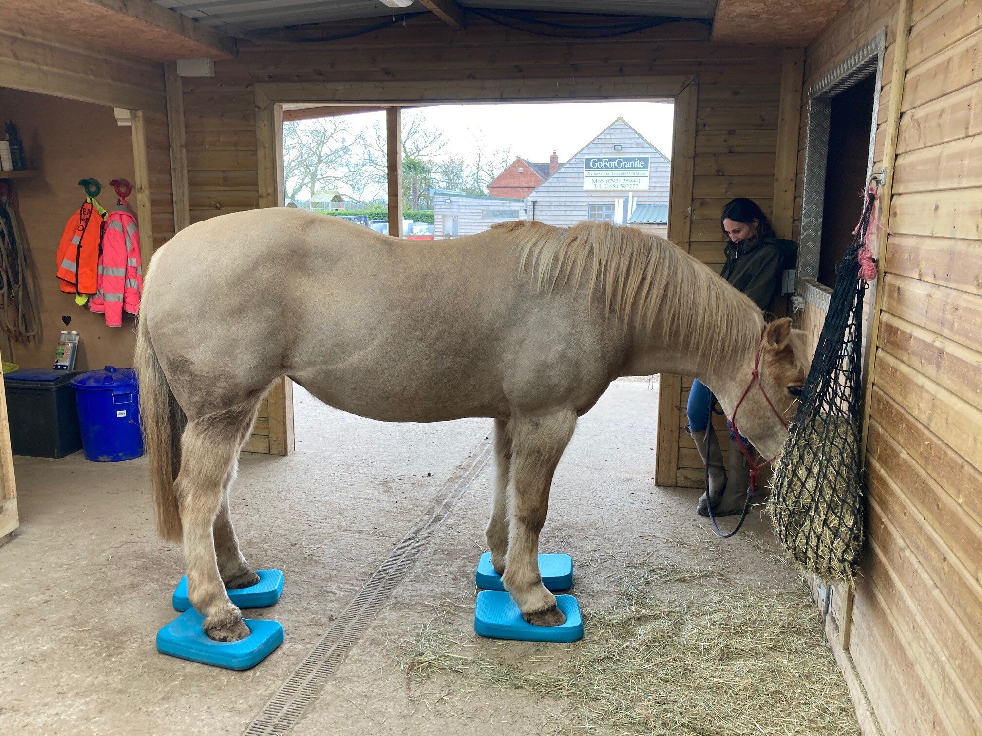 jessica_limpkin_equine_horse_massage_therapy_therapist_worcester_worcestershire_balance_pads.jpg