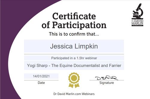 jessica_limpkin_equine_horse_massage_therapy_CPD_dr_david_marlin_yogi_sharp_the_equine_documentalist_farrier_ideal_hoof_pastern_axis.jpg