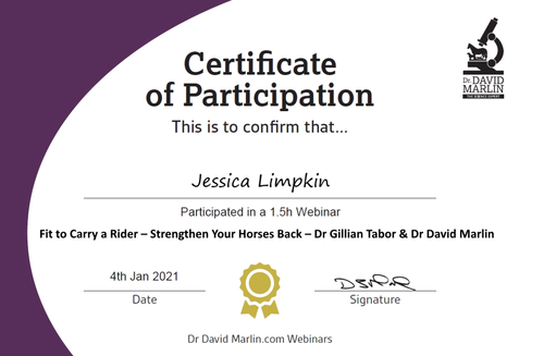 jessica_limpkin_equine_horse_massage_therapy_CPD_dr_gillian_tabor_physiotherapist_fit_to_carry_a_rider_strehngthen_your_horses_back_dr_david_marlin.png
