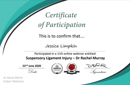 jessica_limpkin_equine_horse_massage_therapy_CPD_dr_rachel_murray_suspensory_ligament_injury.png