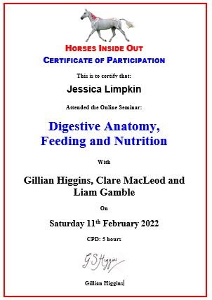 Jessica_limpkin_equine_massage_therapy_cpd_training_horses_digestive_anatomy_feeding_microbiome_horses_inside_out.JPG