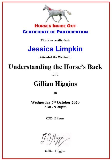 Jessica_limpkin_equine_massage_therapy_cpd_training_horses_inside_out_webinar_understanding_the_horse_back.jpg