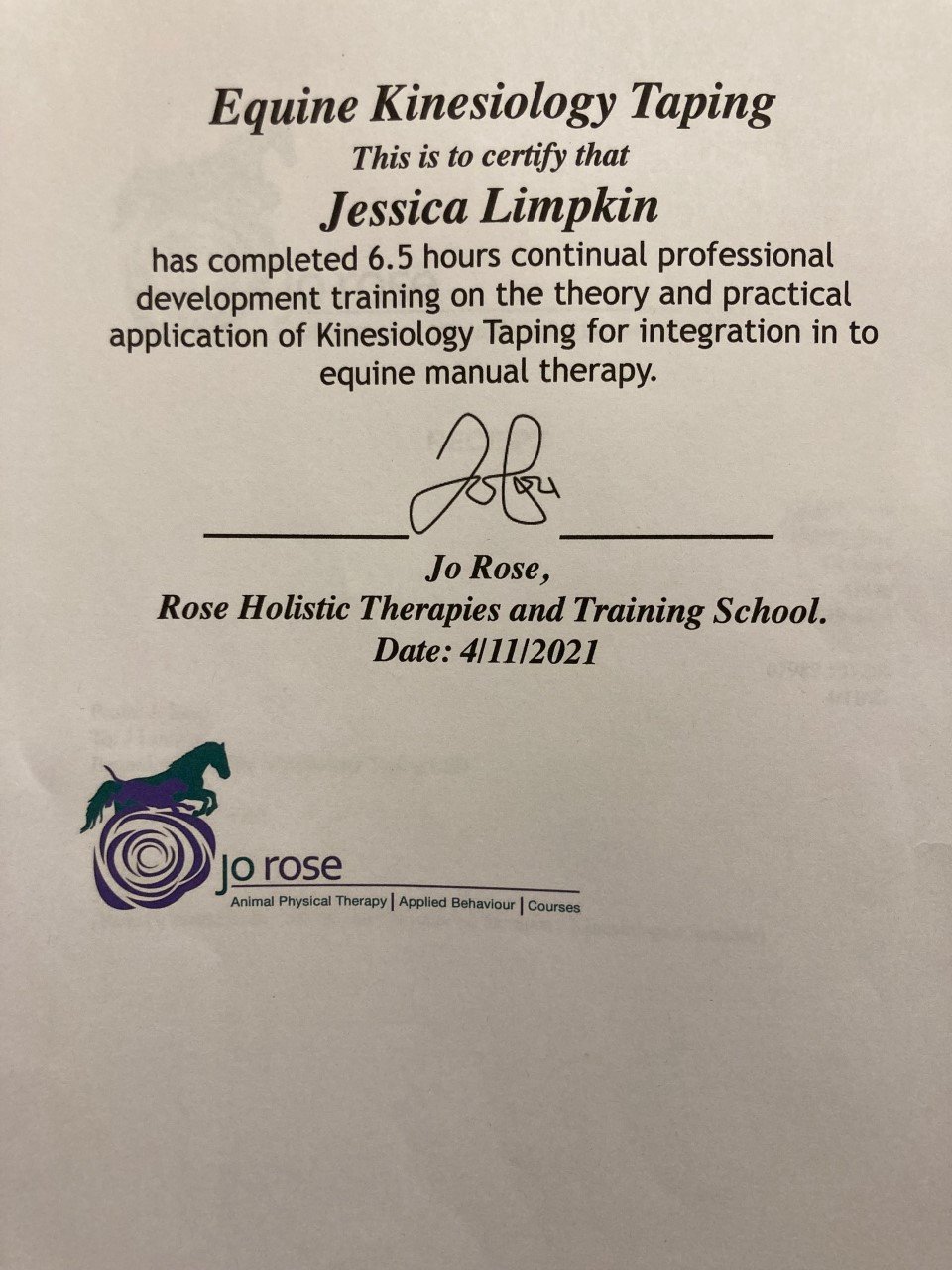Jessica_limpkin_equine_massage_therapy_cpd_training_horses_Jo_rose_kinesiology_taping_k_tape.jpg