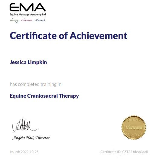 jessica_Limpkin_equine_massage_therapy_therapist_cpd_training_cranial_sacral.JPG