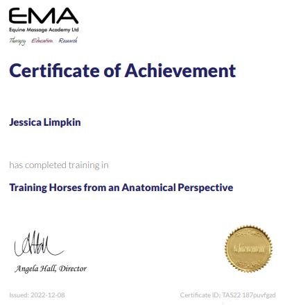 jessica_Limpkin_equine_massage_therapy_therapist_cpd_training_horses_from_an_anatomical_perspective.JPG