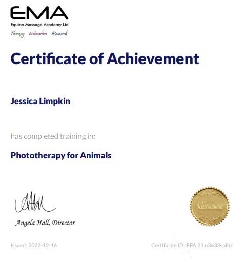 jessica_Limpkin_equine_massage_therapy_therapist_cpd_training_horses_photizo_phototherapy_red_light_infrared_cold_laser.JPG
