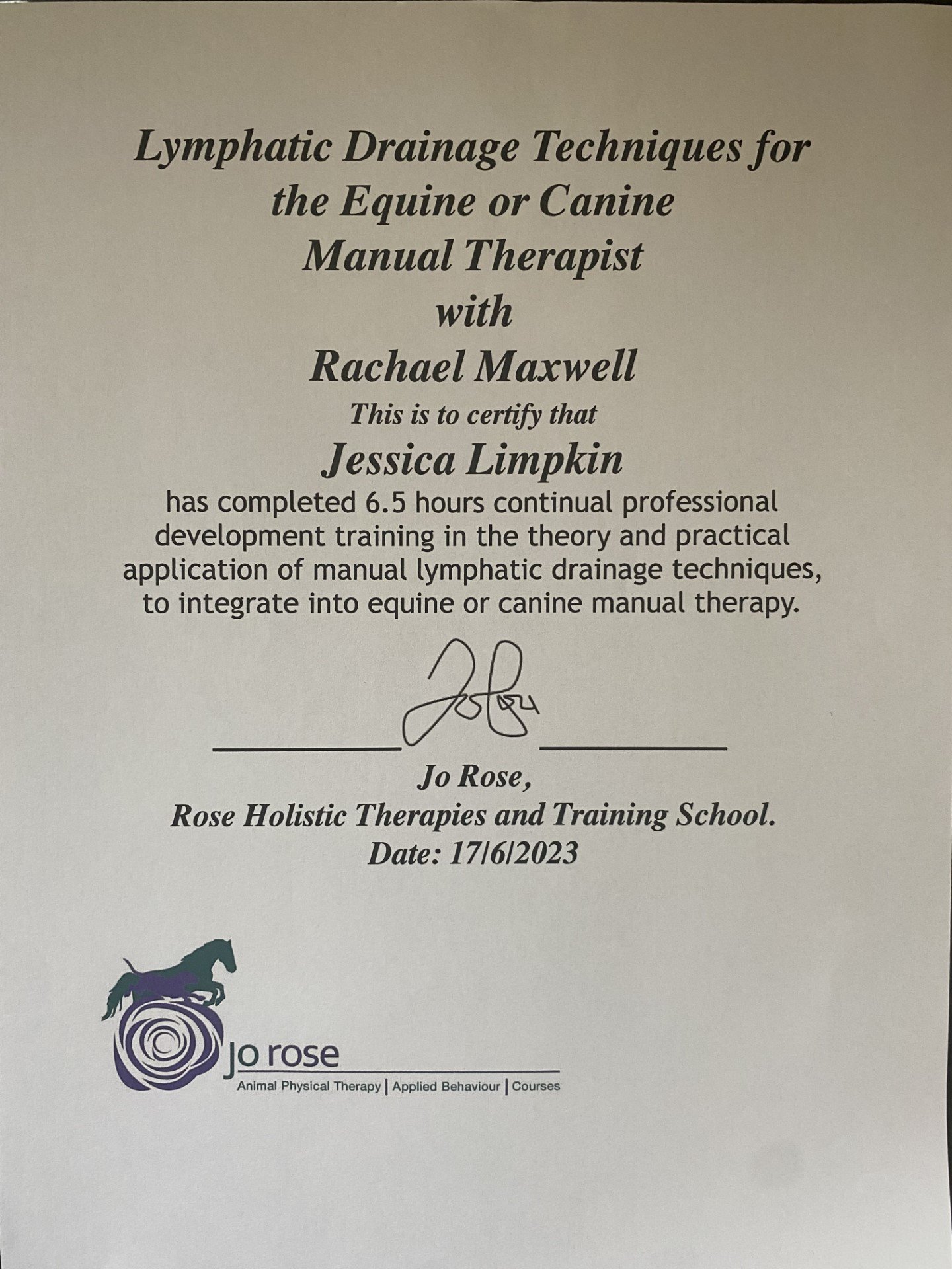 jessica_limpkin_equine_horse_massage_therapy_therapist_worcester_worcestershire_lymphatic_drainage_3.jpg