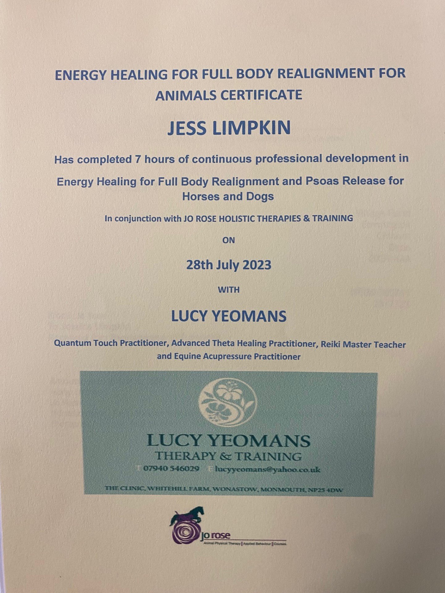 jessica_limpkin_equine_horse_massage_therapy_therapist_worcester_worcestershire_full_body_alignment_psoas_release_lucy_yeomans.jpg