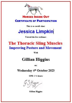 Jessica_limpkin_equine_massage_therapy_cpd_training_horses_inside_out_gillian_higgins_thoracic_sling_muscles_improving_posture_and_movement.JPG