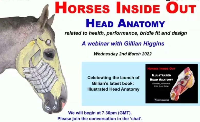 How Straightness Affects the Equine 【KoG49様専用】Horse