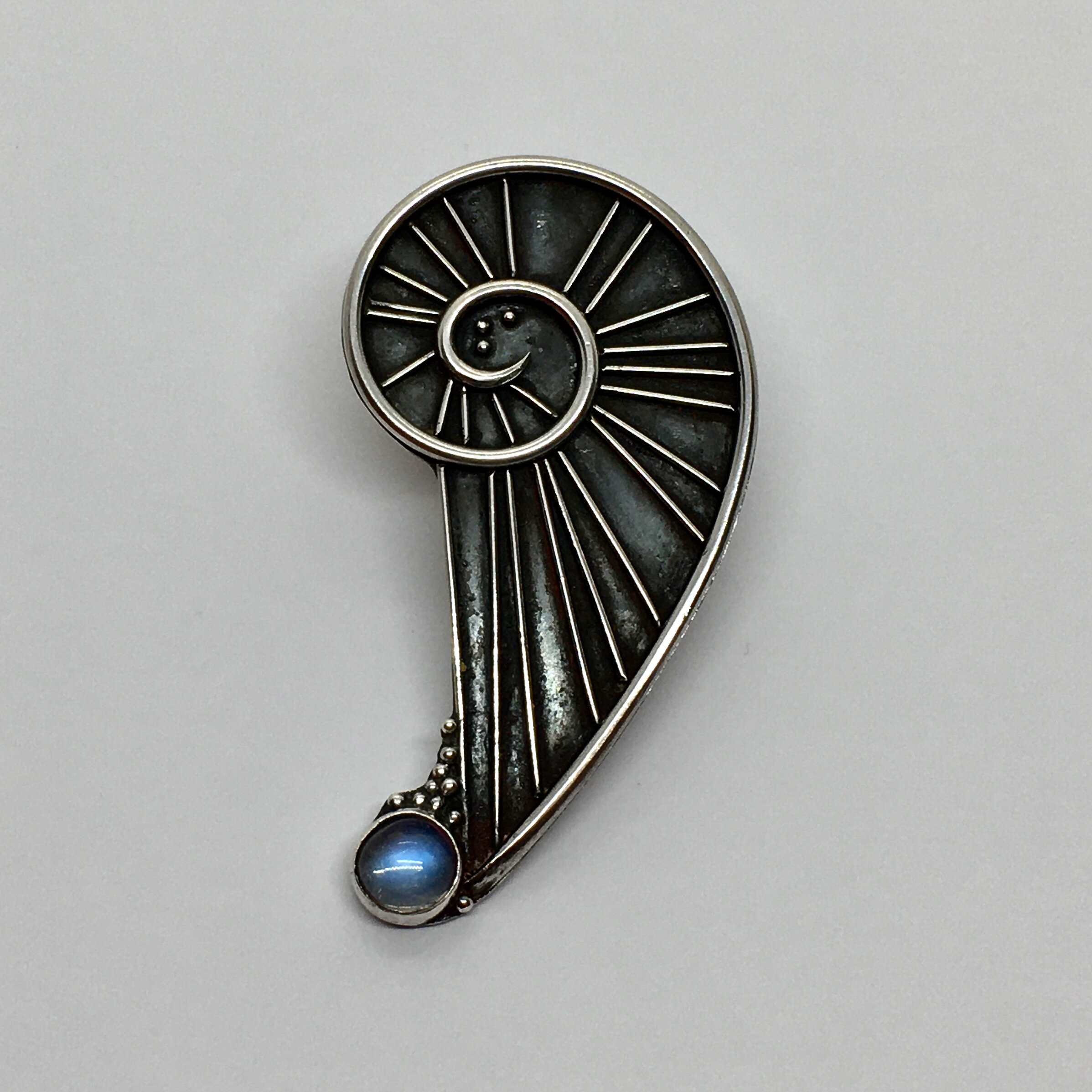 Silver Ammonite Brooch Main.jpeg