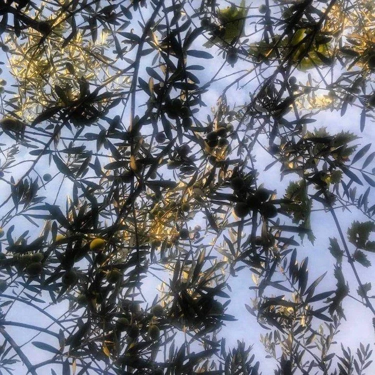 The Sins of the Fathers