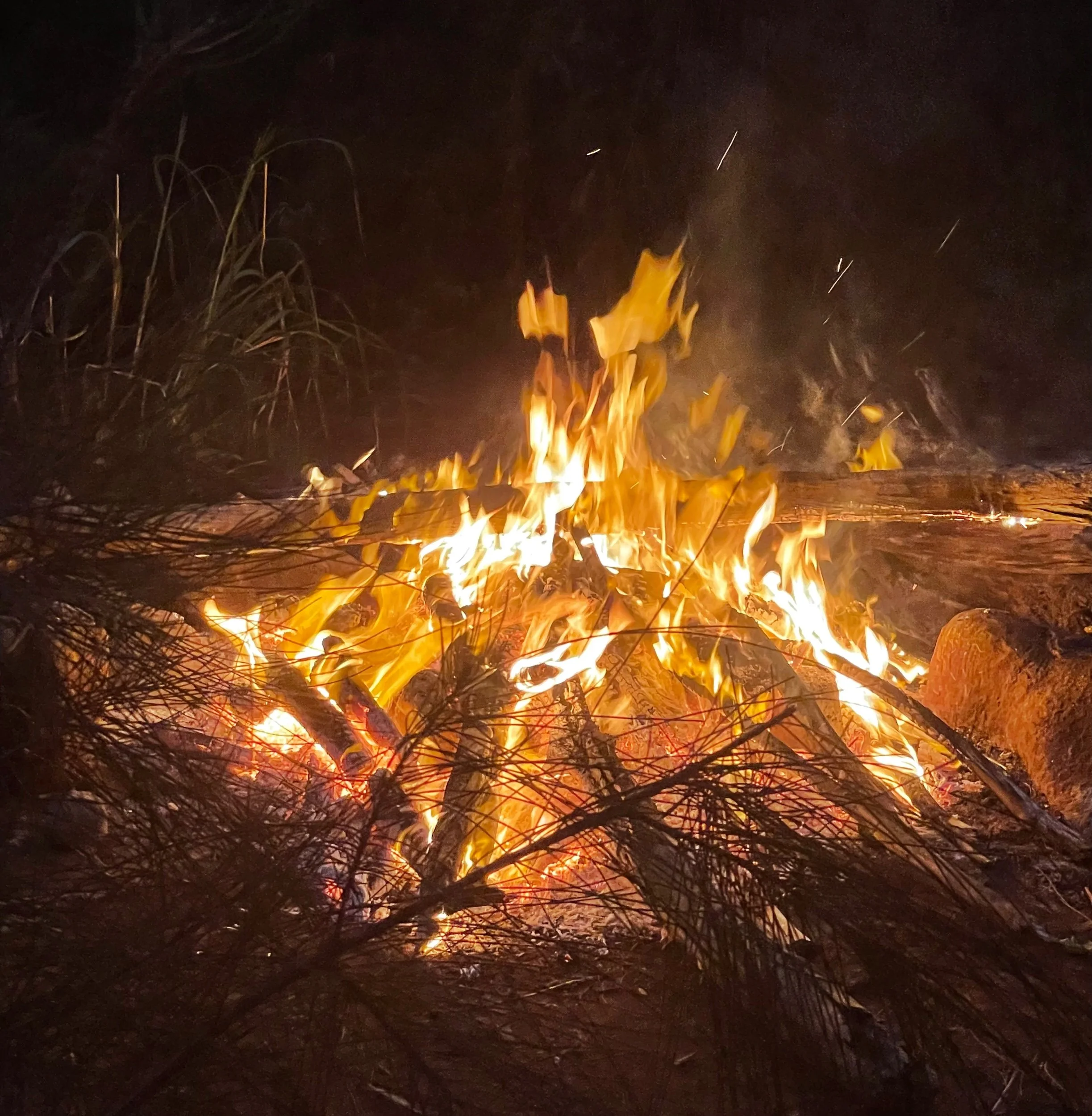 A Message for the Emperor