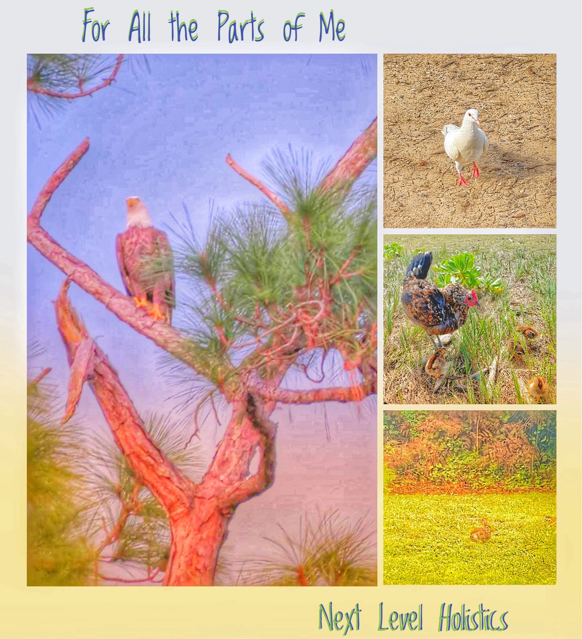 For All the Parts of Me