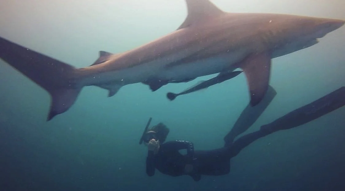 image_123650291 (7).JPG