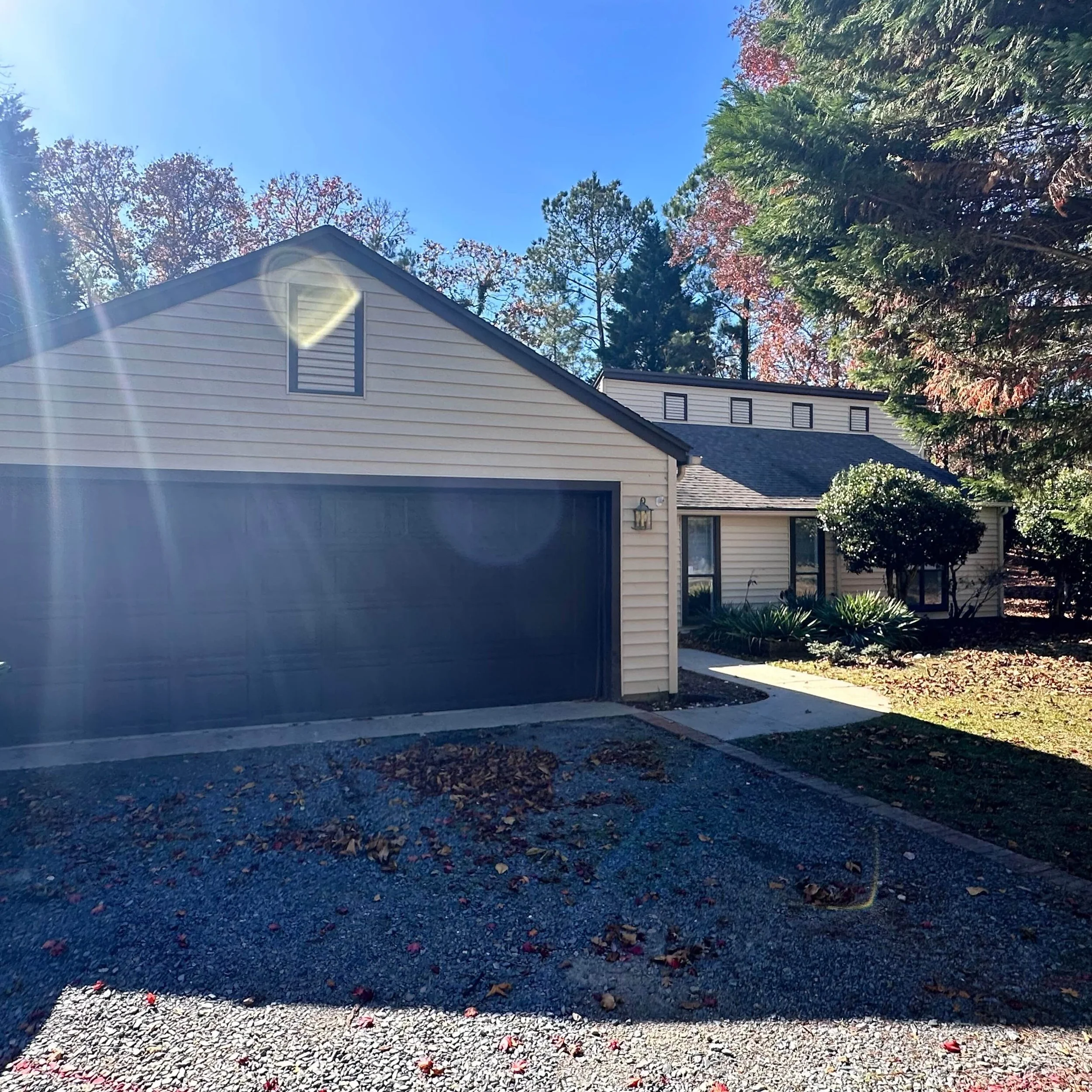 580 Burning tree9.jpeg