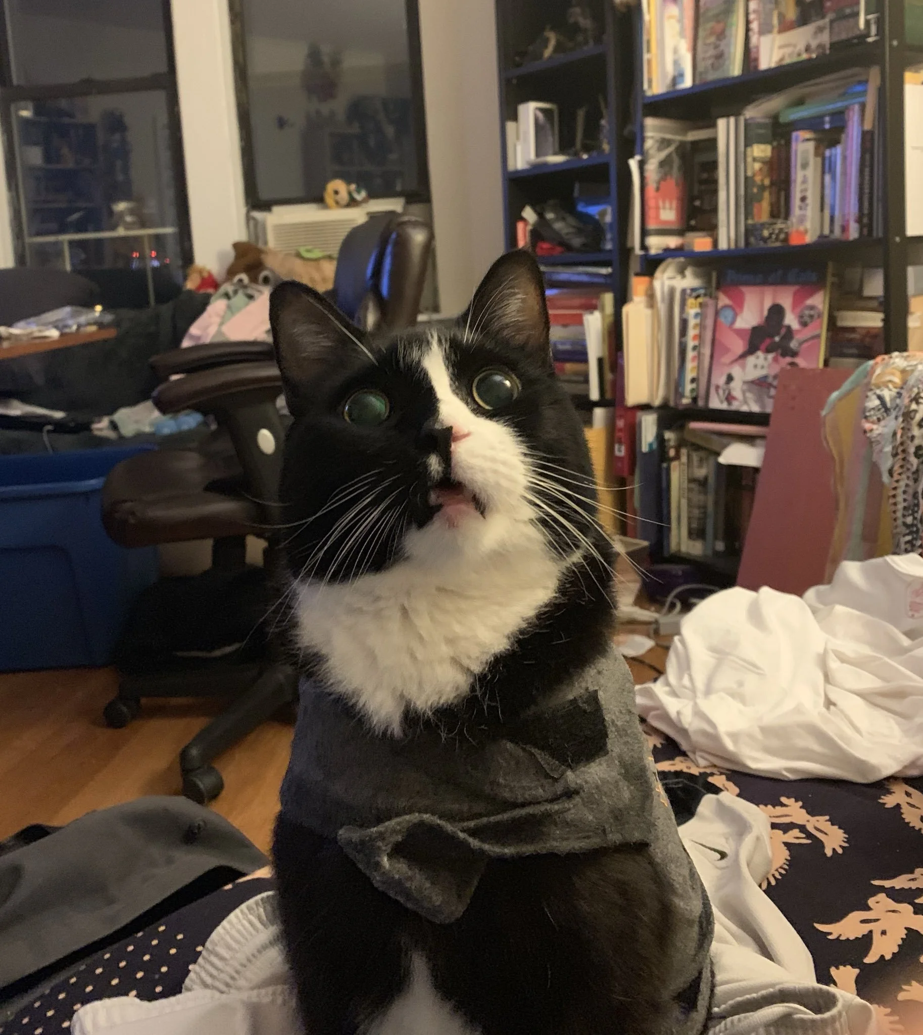 seeing into the void.JPG