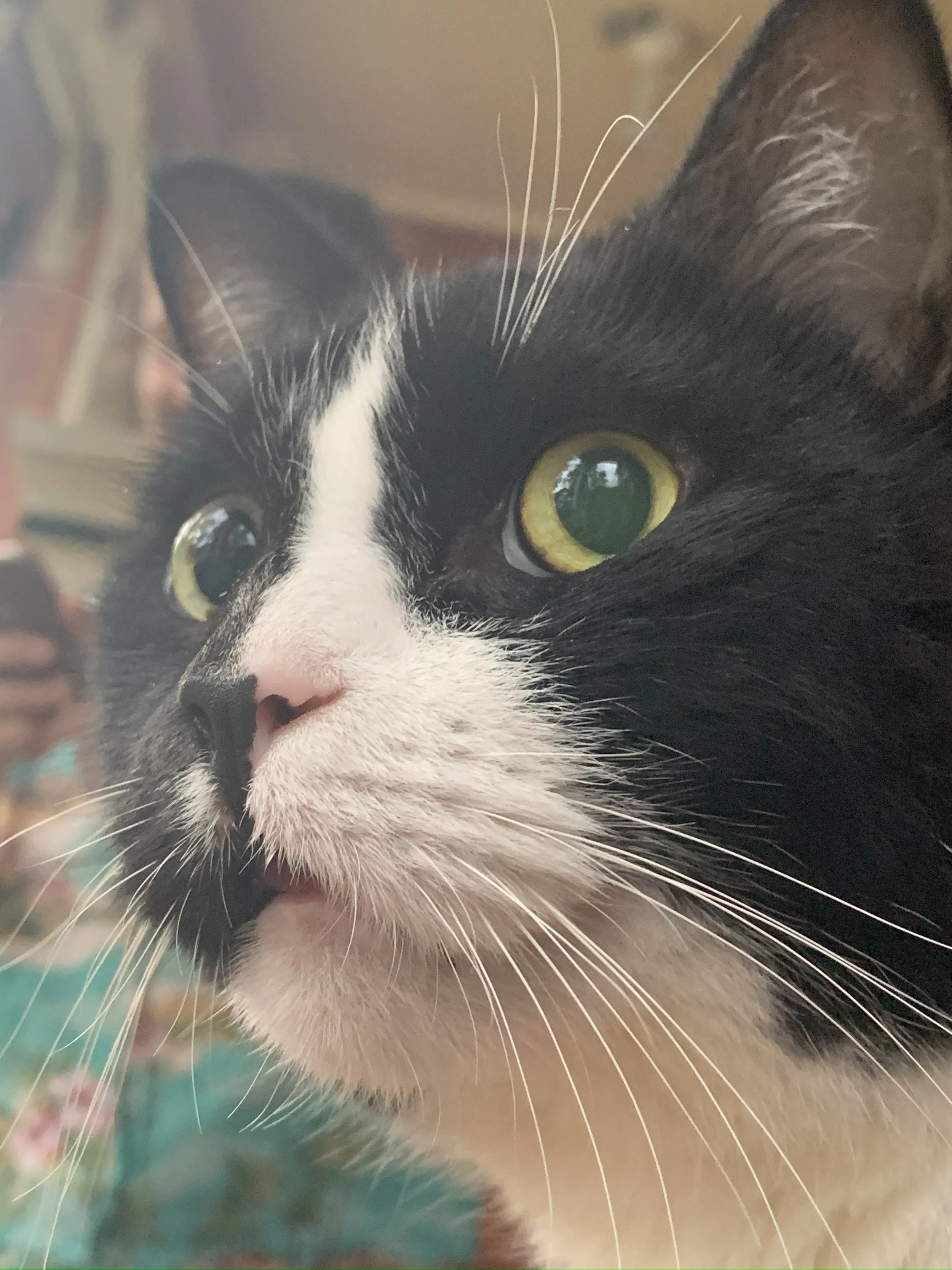 close up.jpg