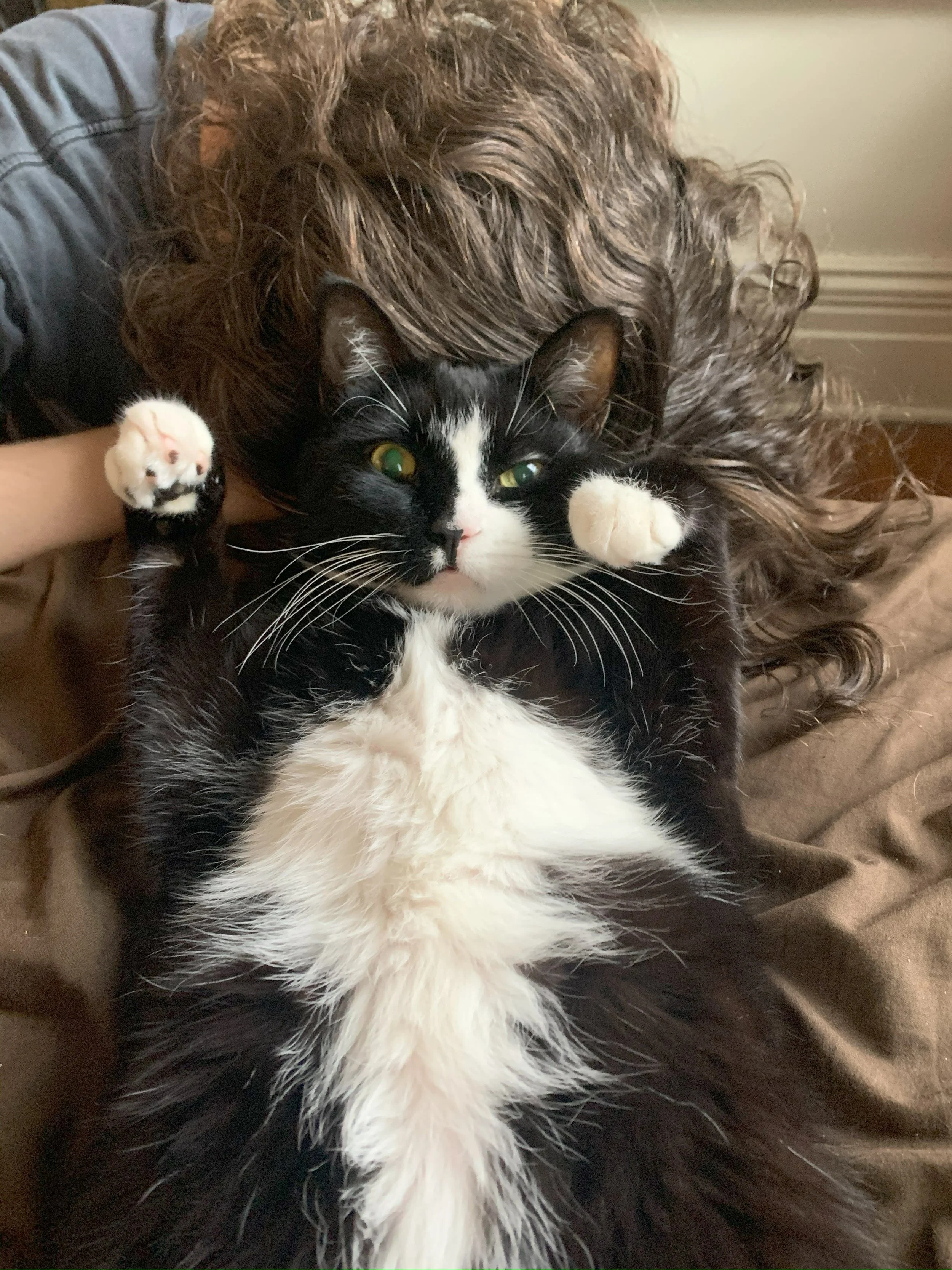 showing tuft.jpg