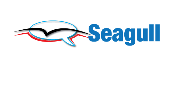 Seagull Speech Services