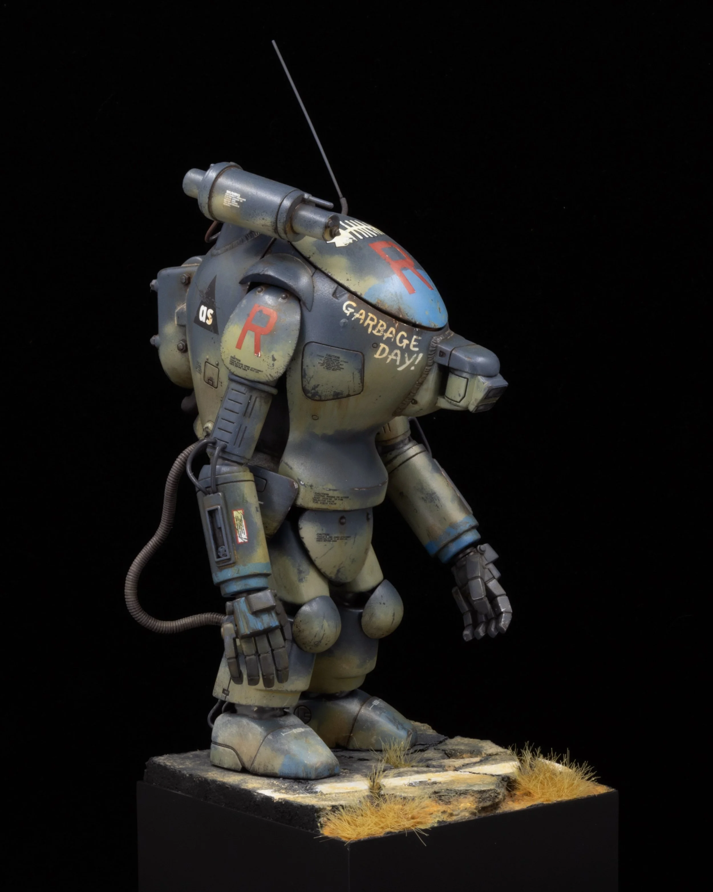 Raccoon_3.jpeg