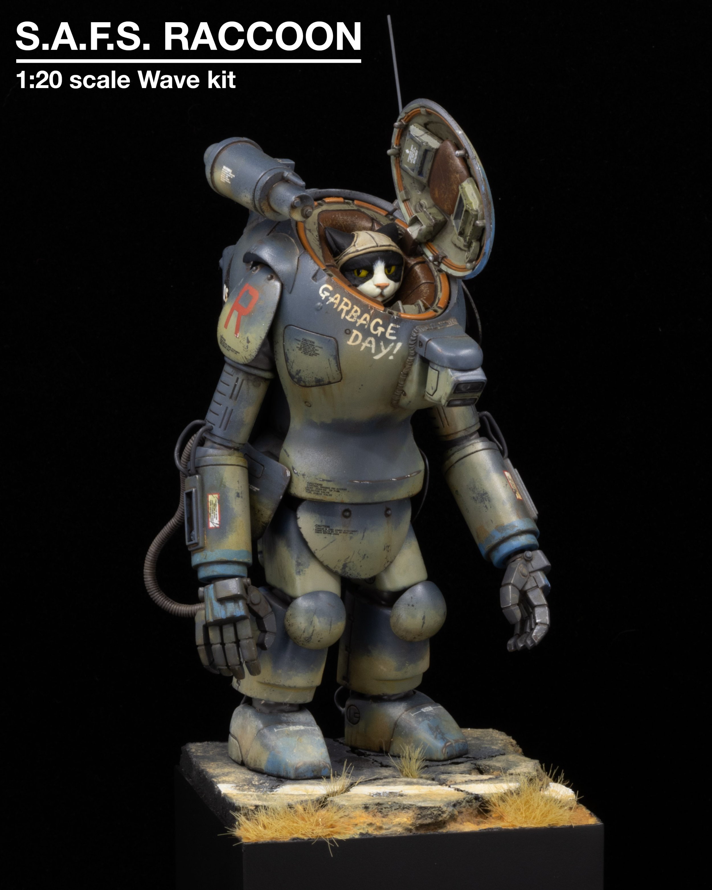 Raccoon_1.jpeg