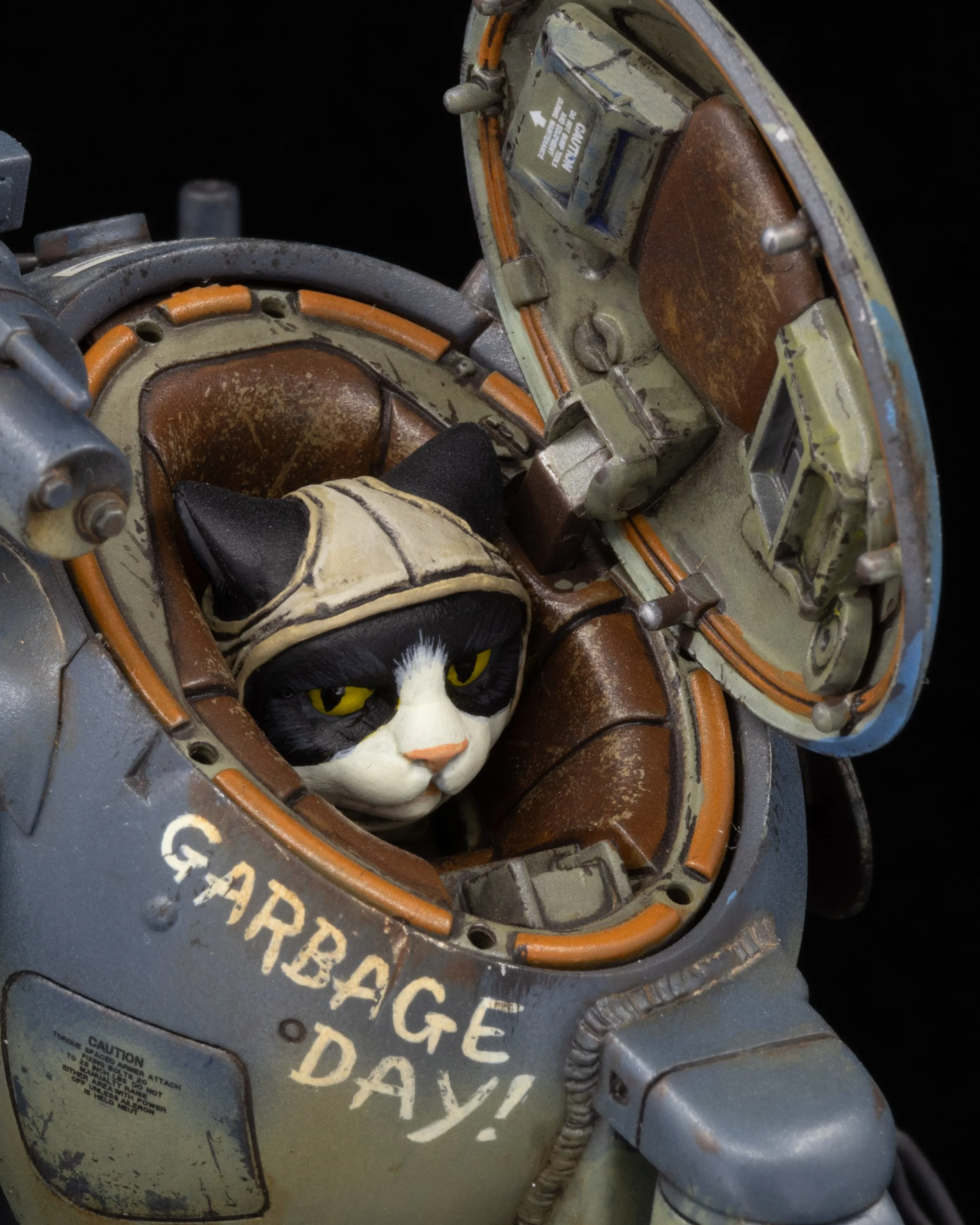 Raccoon_9.jpeg