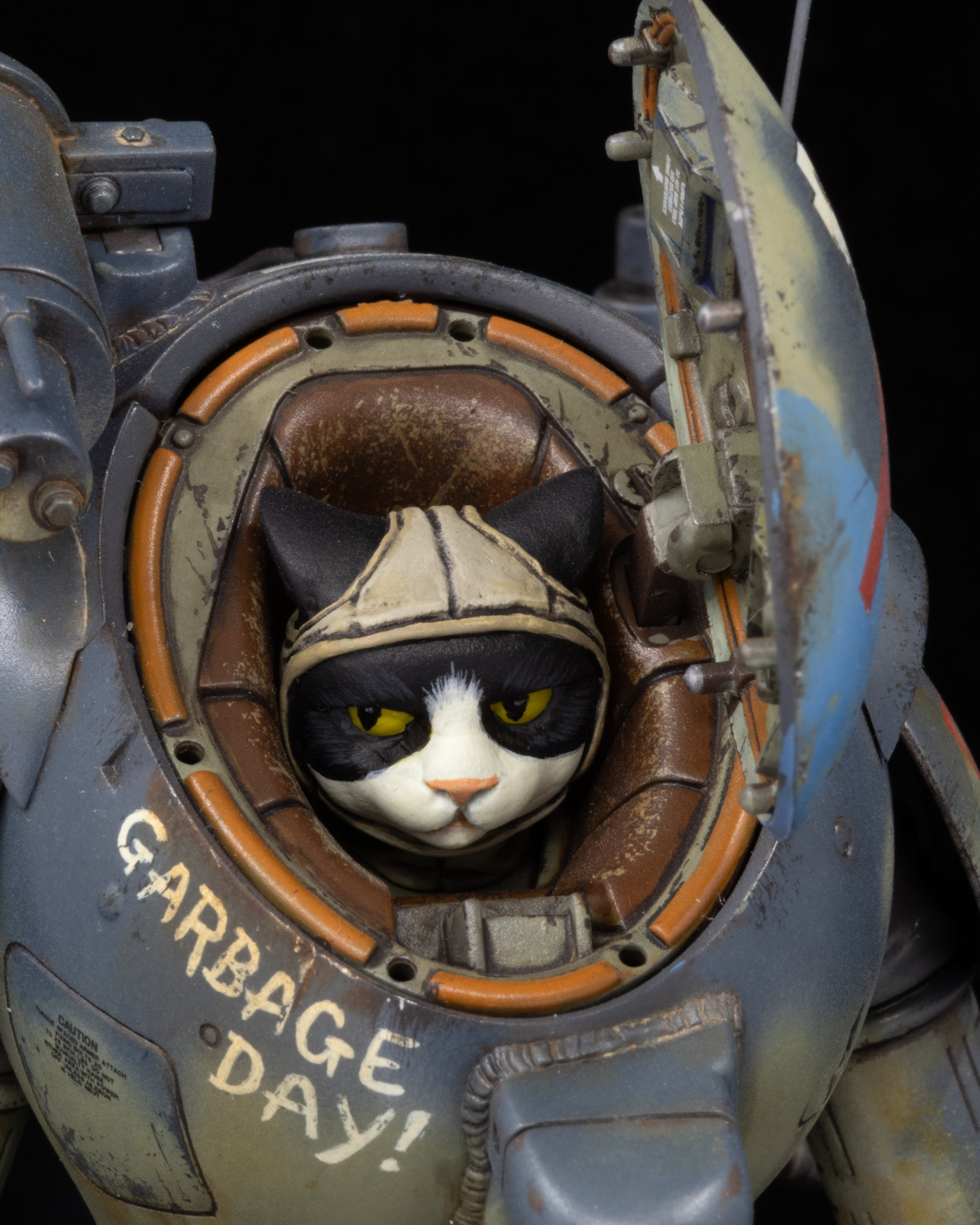 Raccoon_10.jpeg