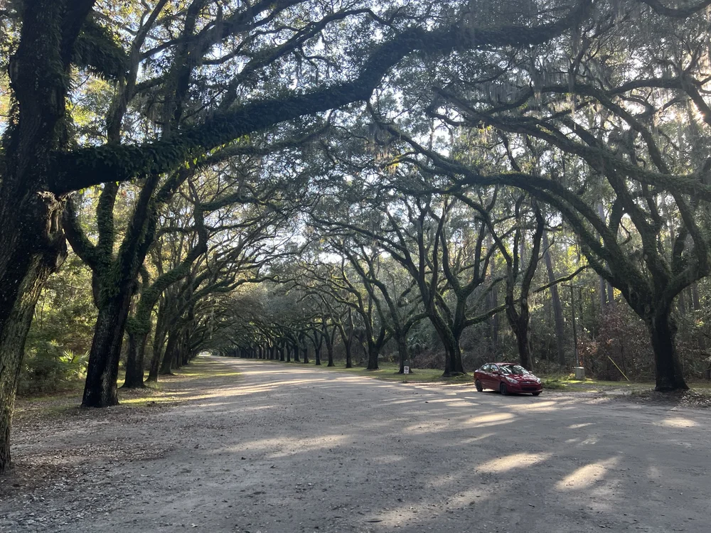 Wormsloe State Historic Site
