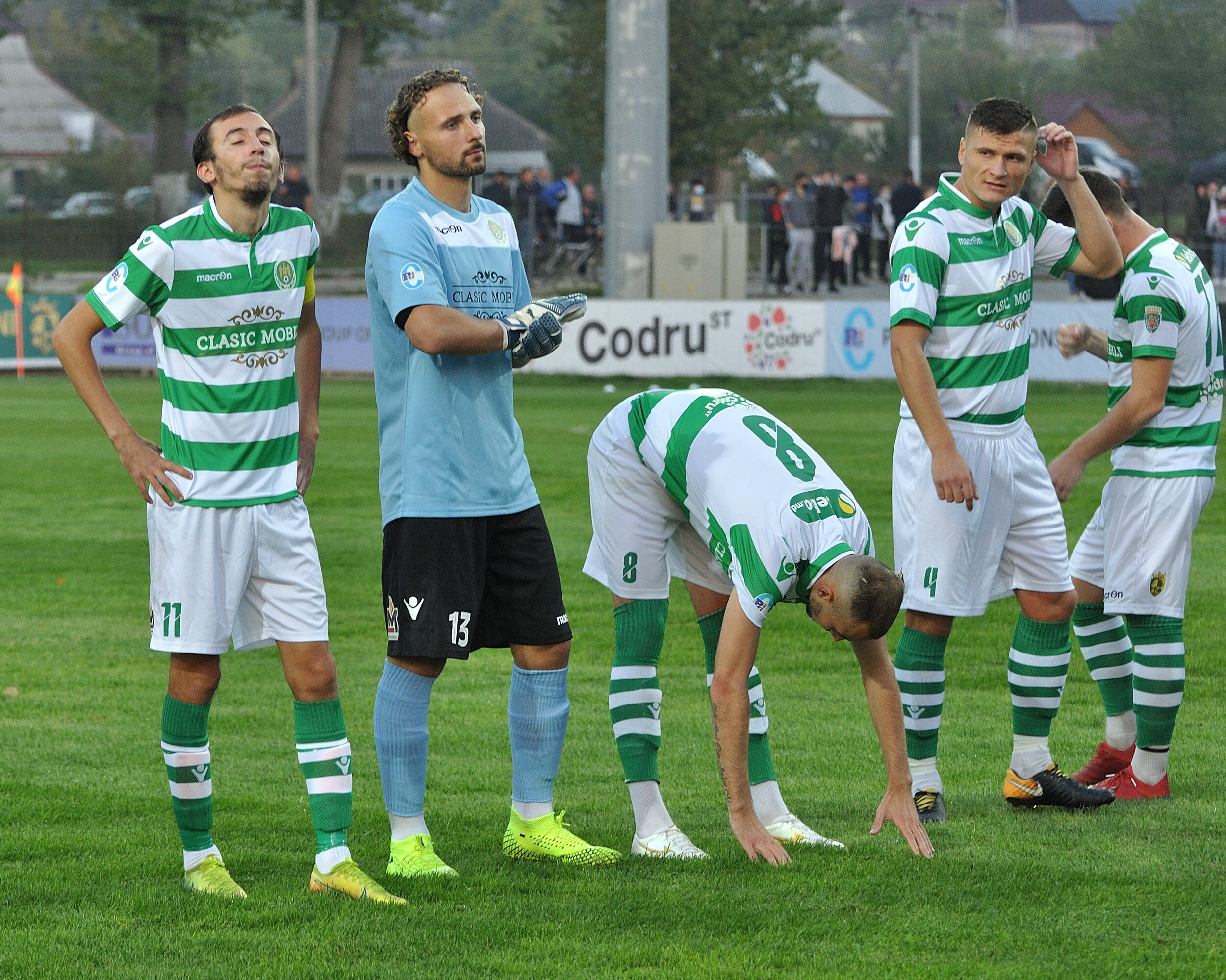 Codru_Zimbru_098.jpg