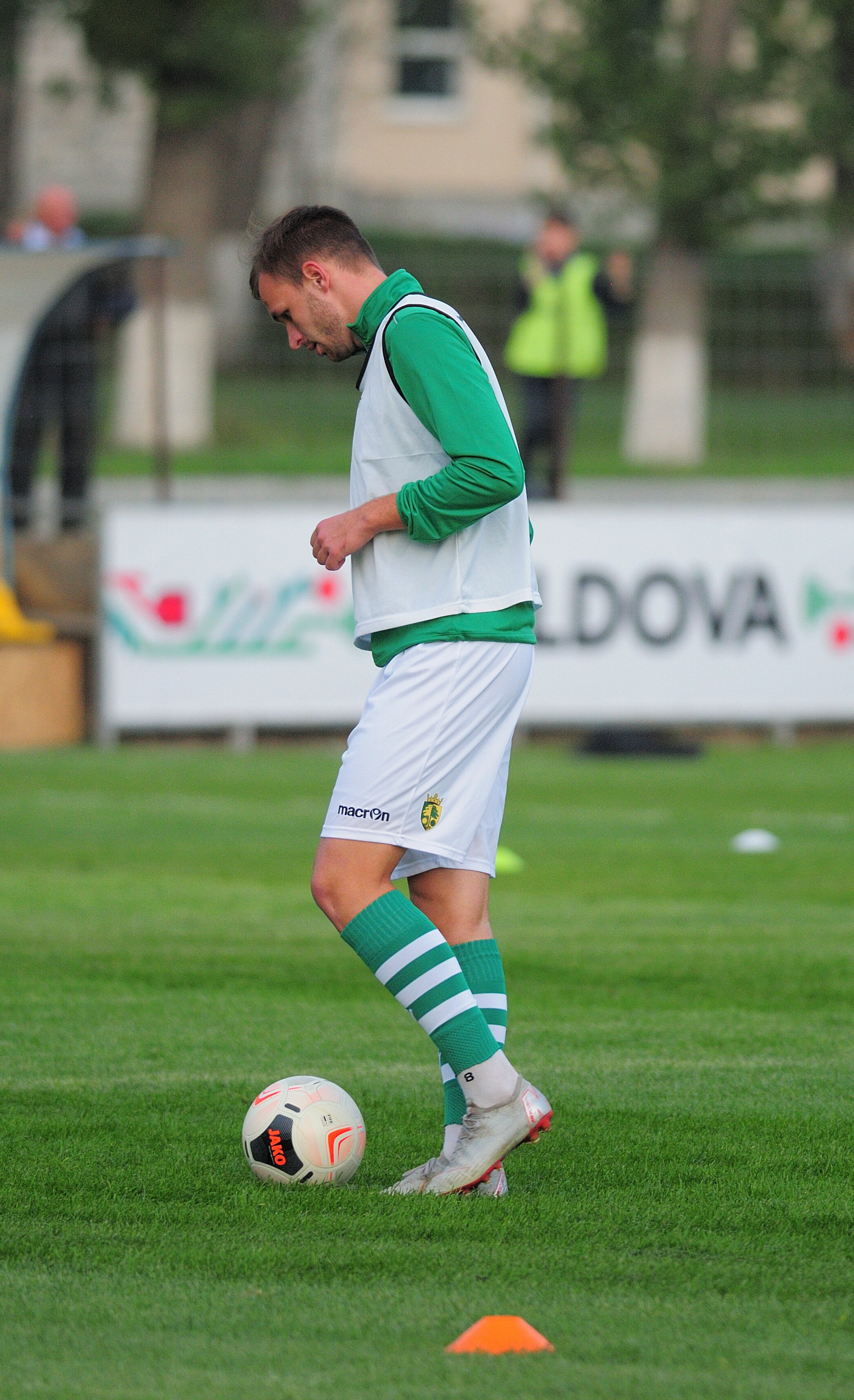 Codru_Zimbru_041.jpg
