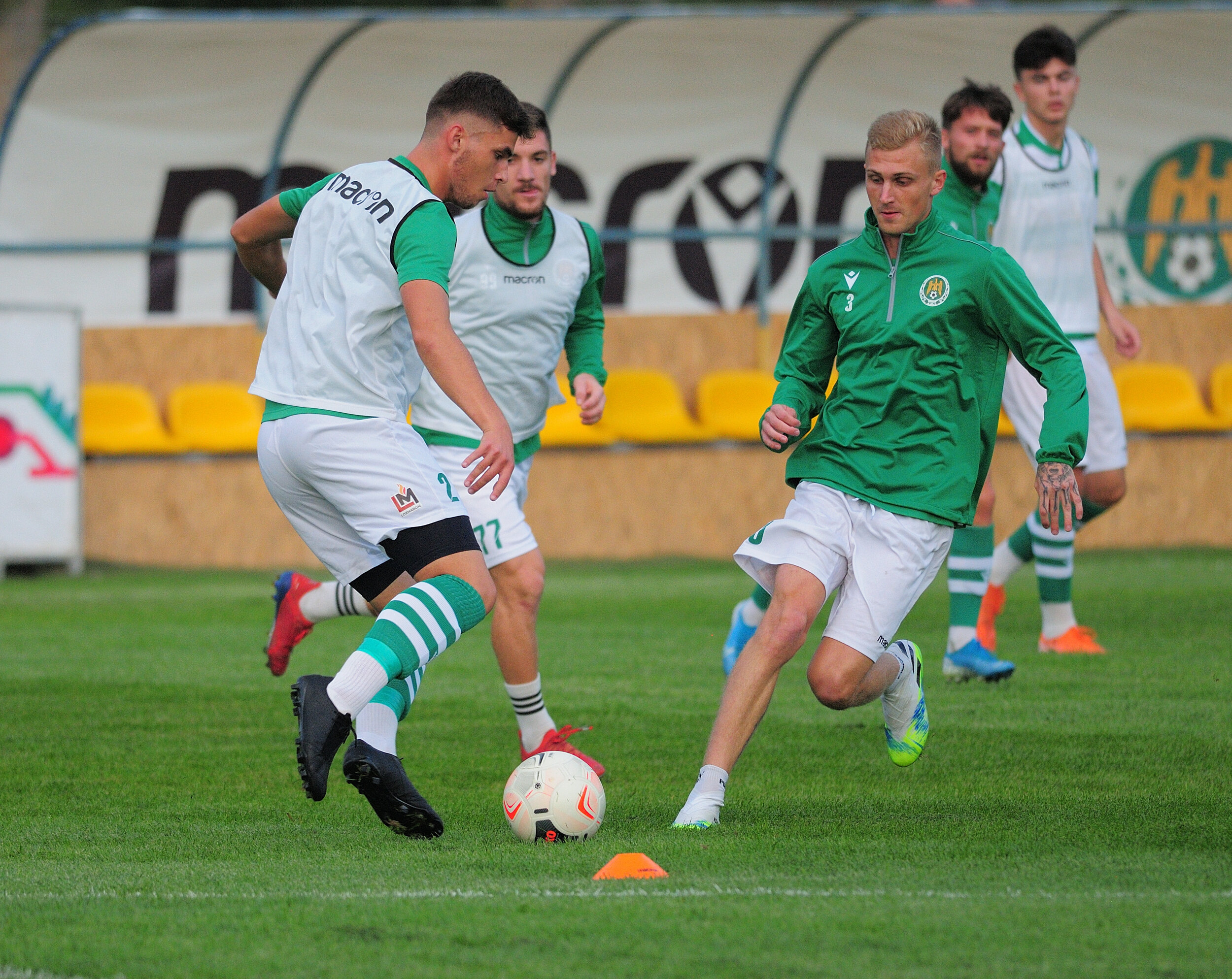 Codru_Zimbru_043.jpg