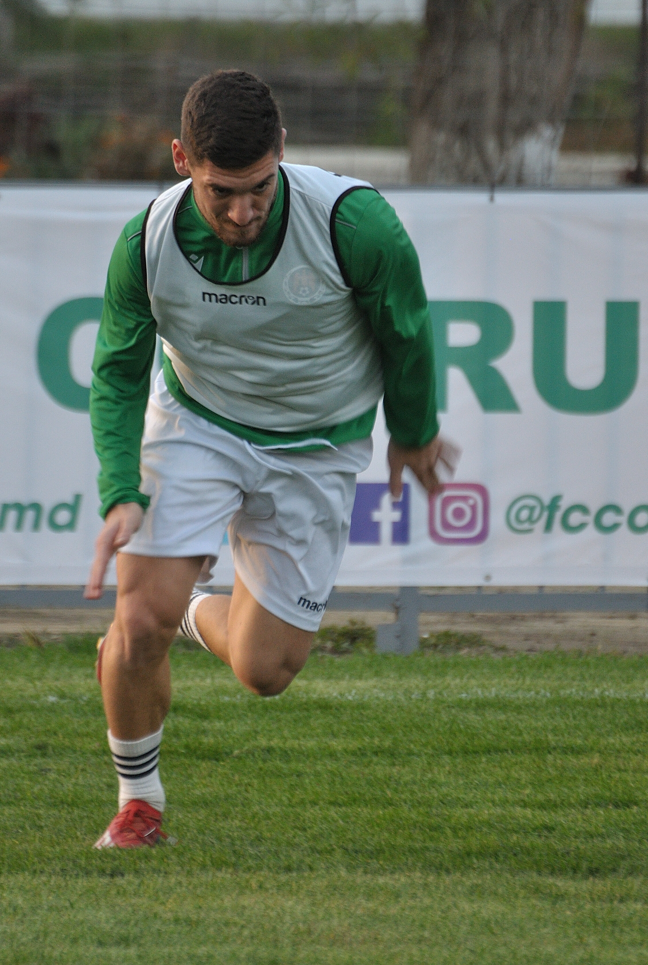 Codru_Zimbru_057.jpg