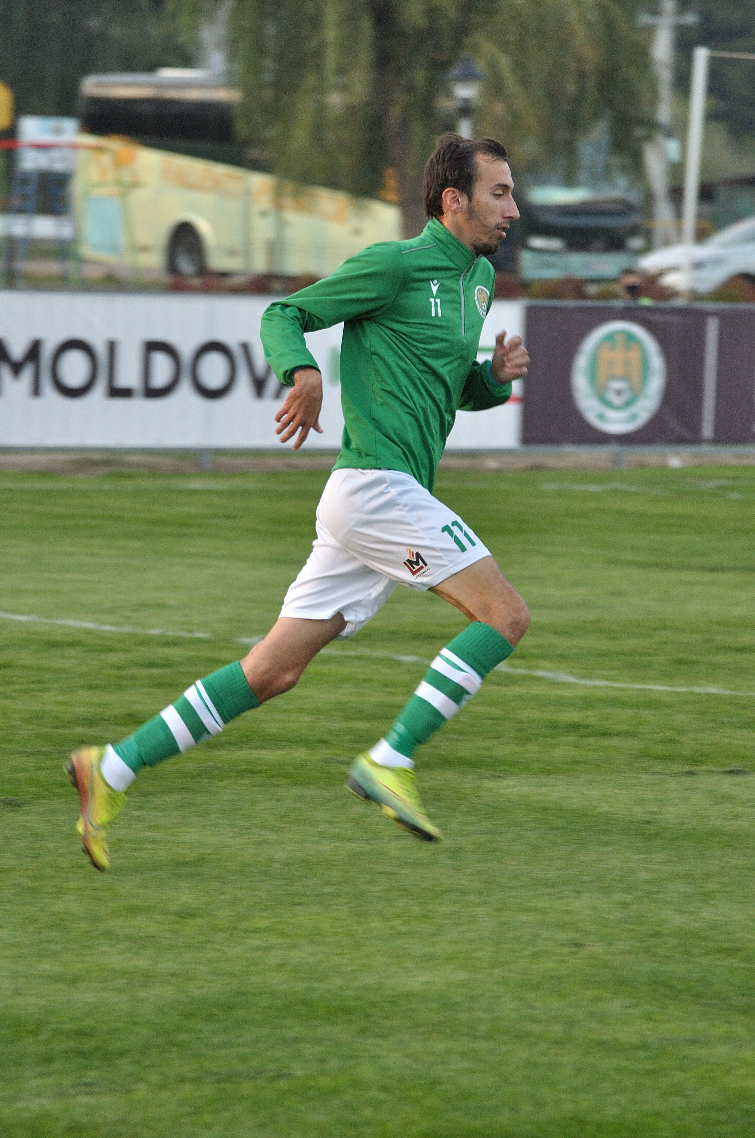 Codru_Zimbru_060.jpg
