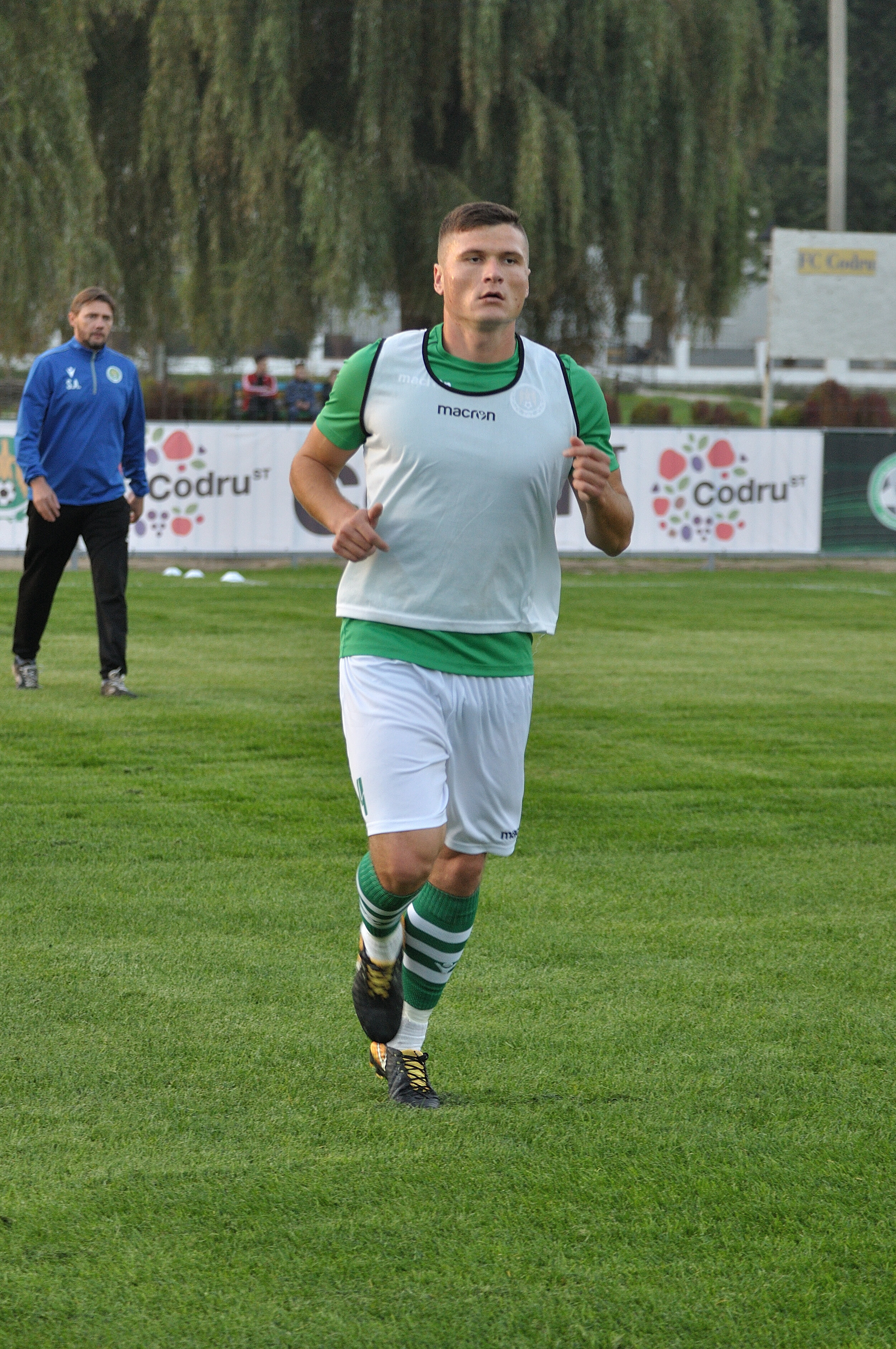 Codru_Zimbru_061.jpg