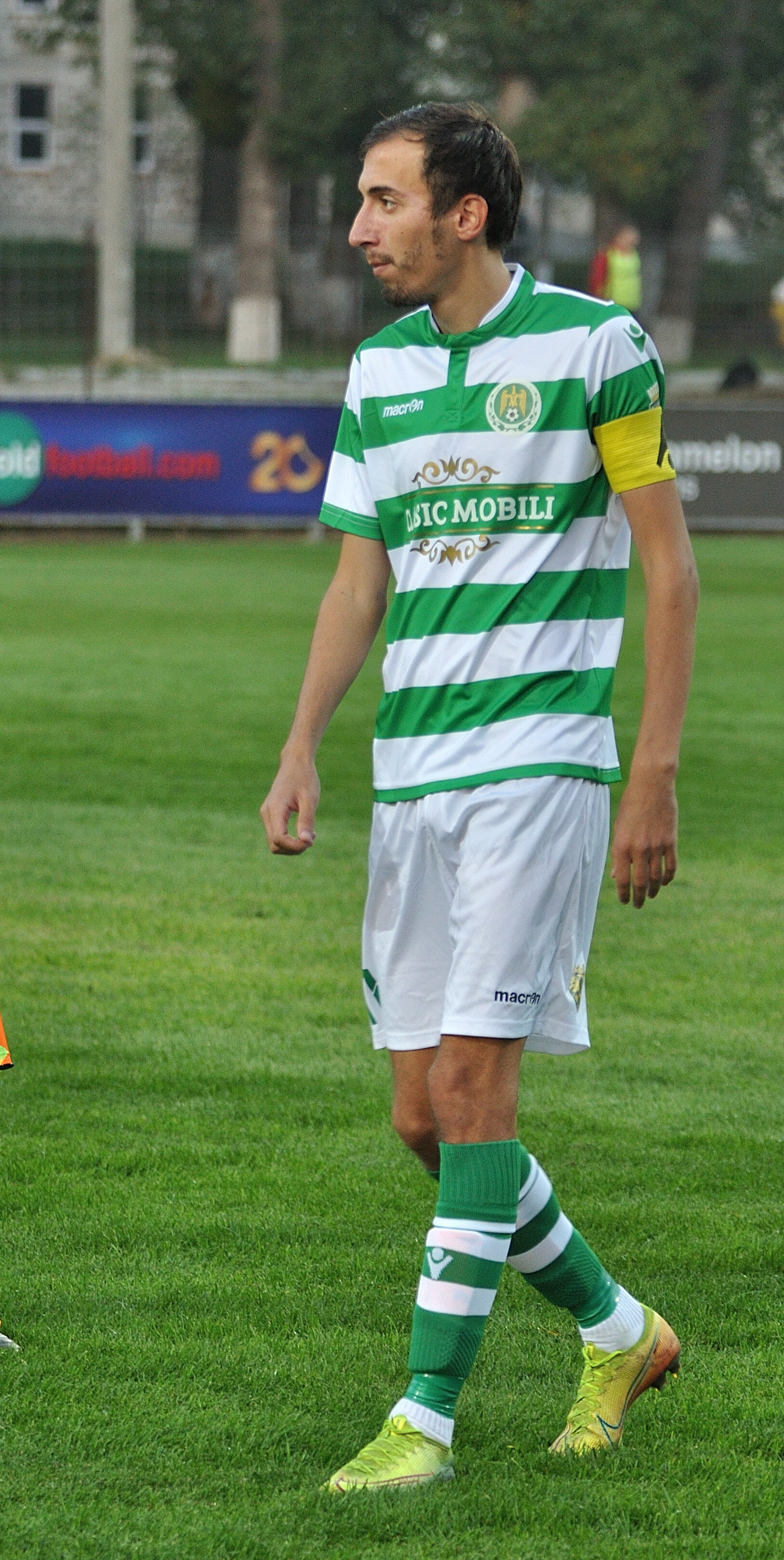 Codru_Zimbru_105.jpg