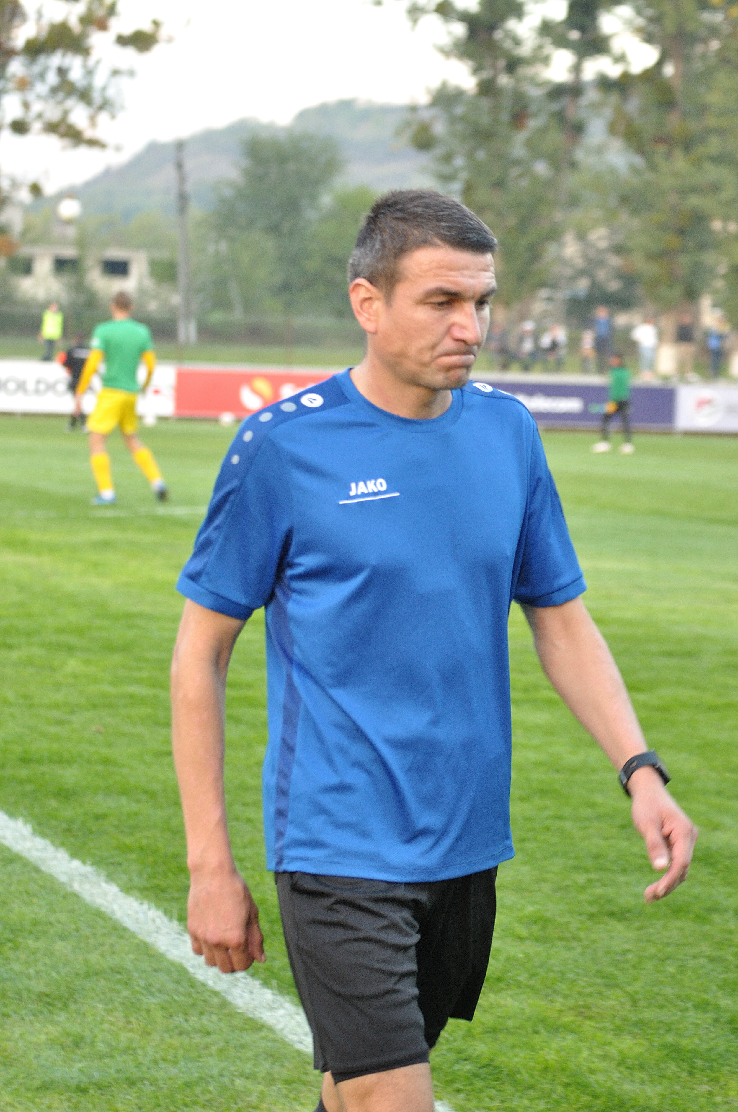 Codru_Zimbru_072.jpg