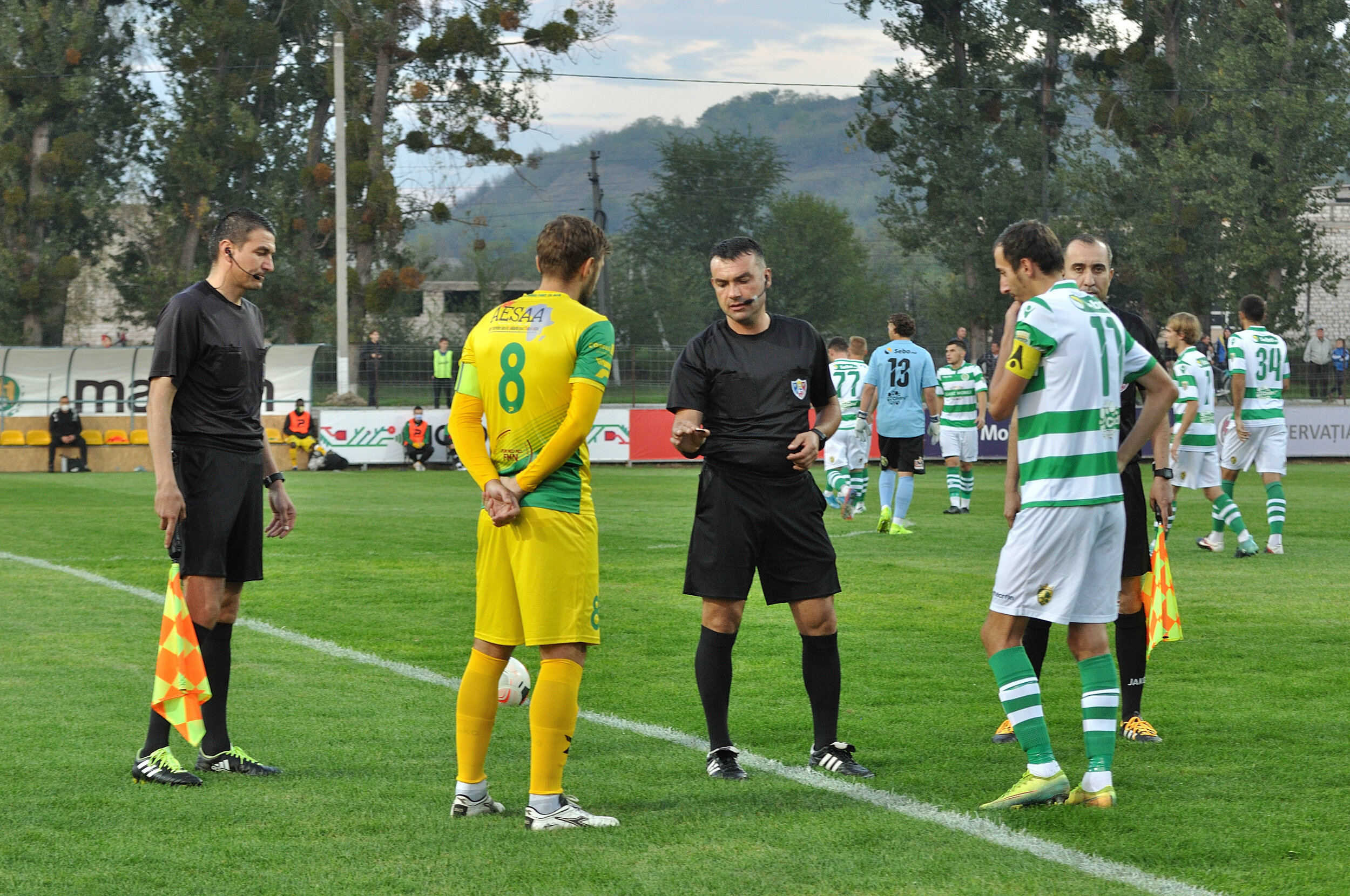 Codru_Zimbru_109.jpg