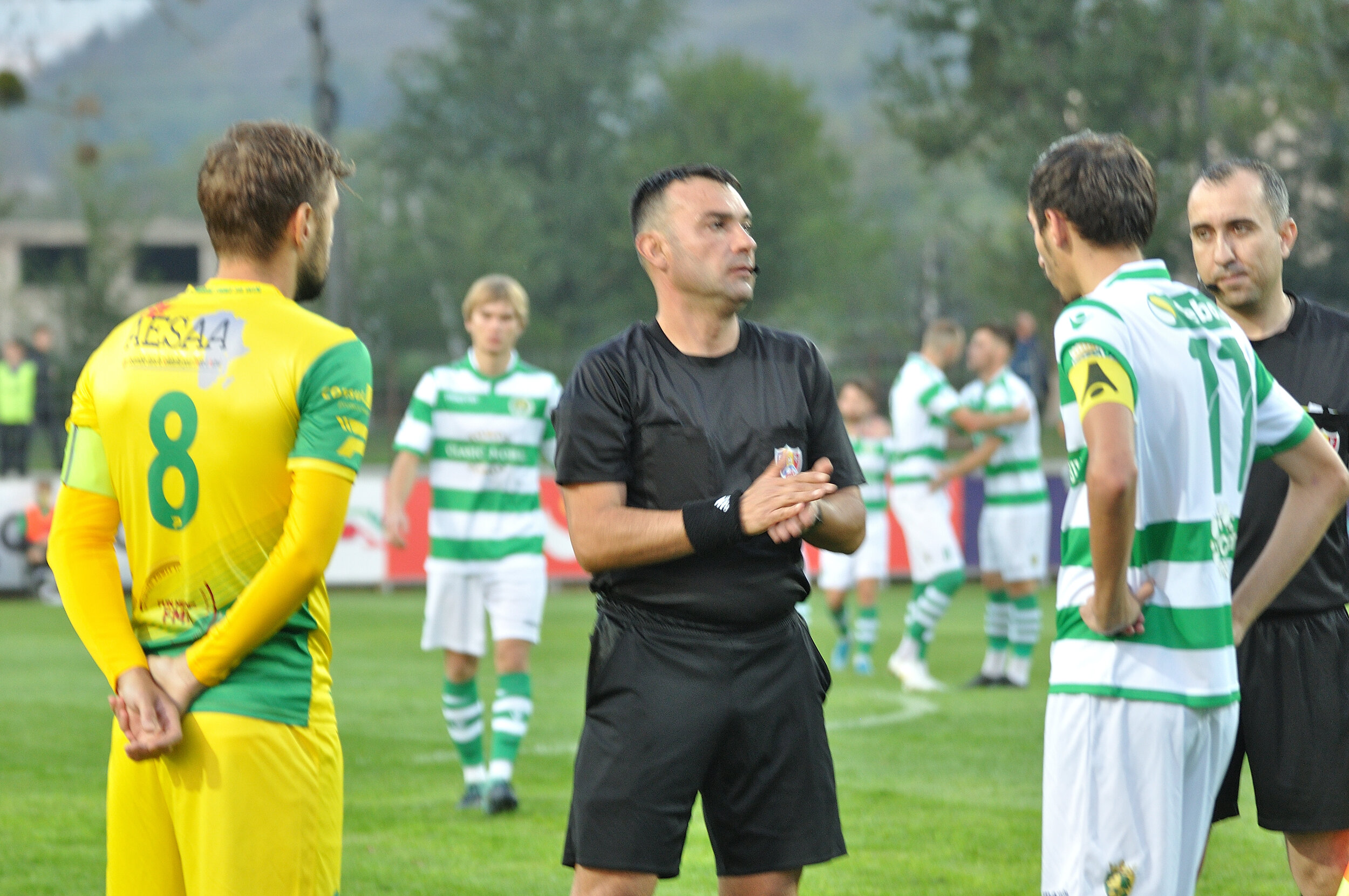 Codru_Zimbru_112.jpg