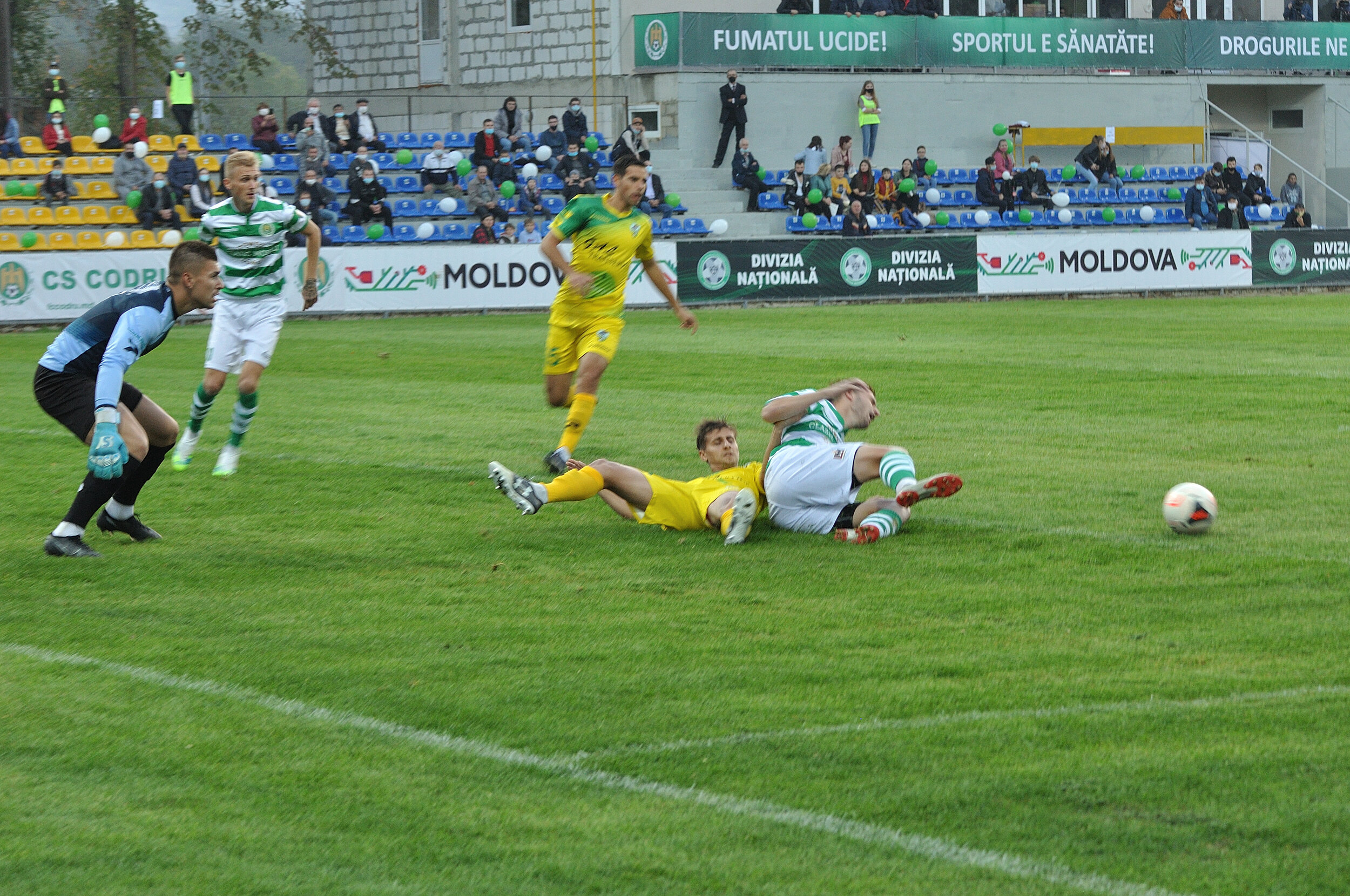 Codru_Zimbru_117.jpg
