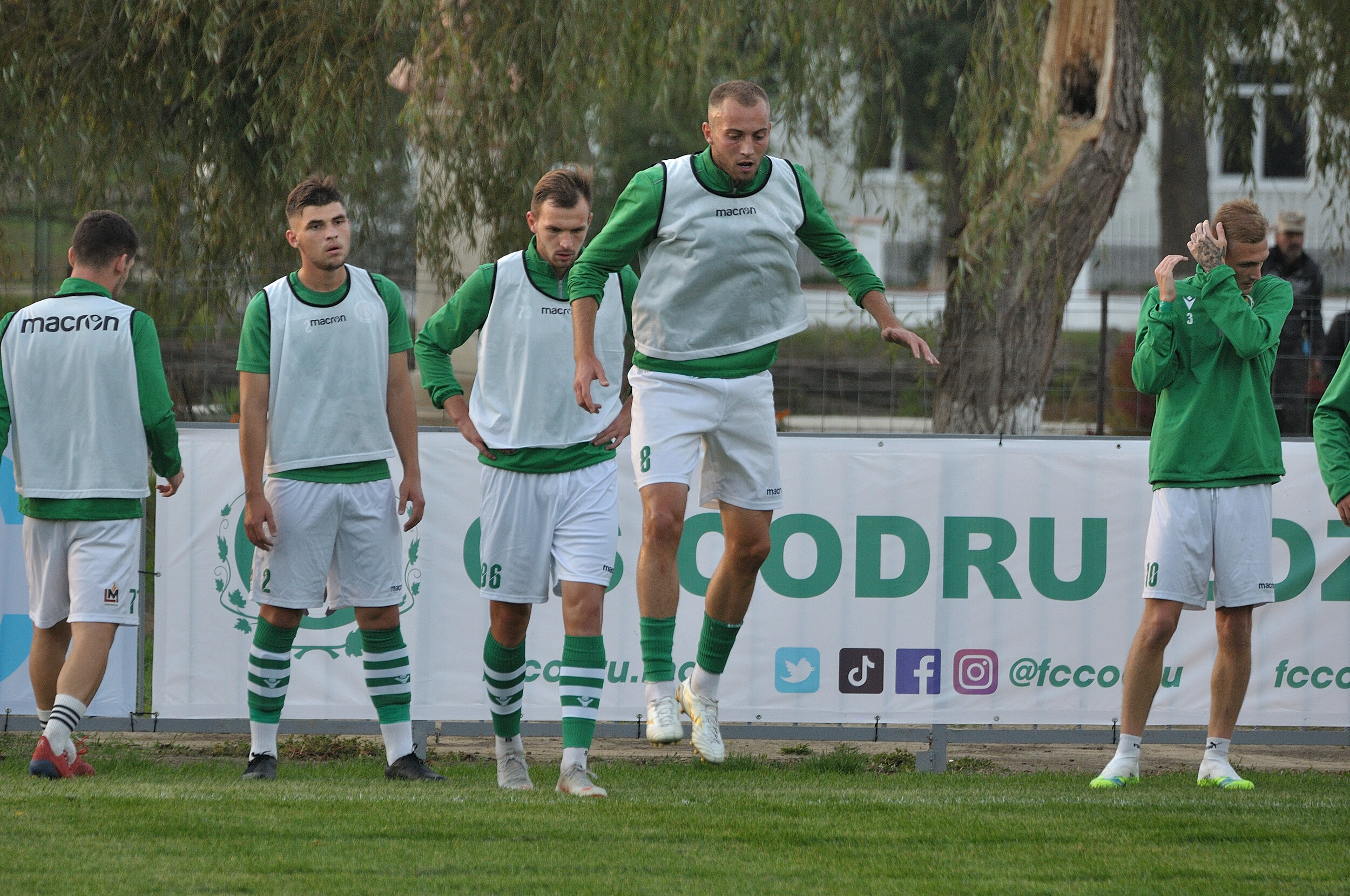 Codru_Zimbru_055.jpg
