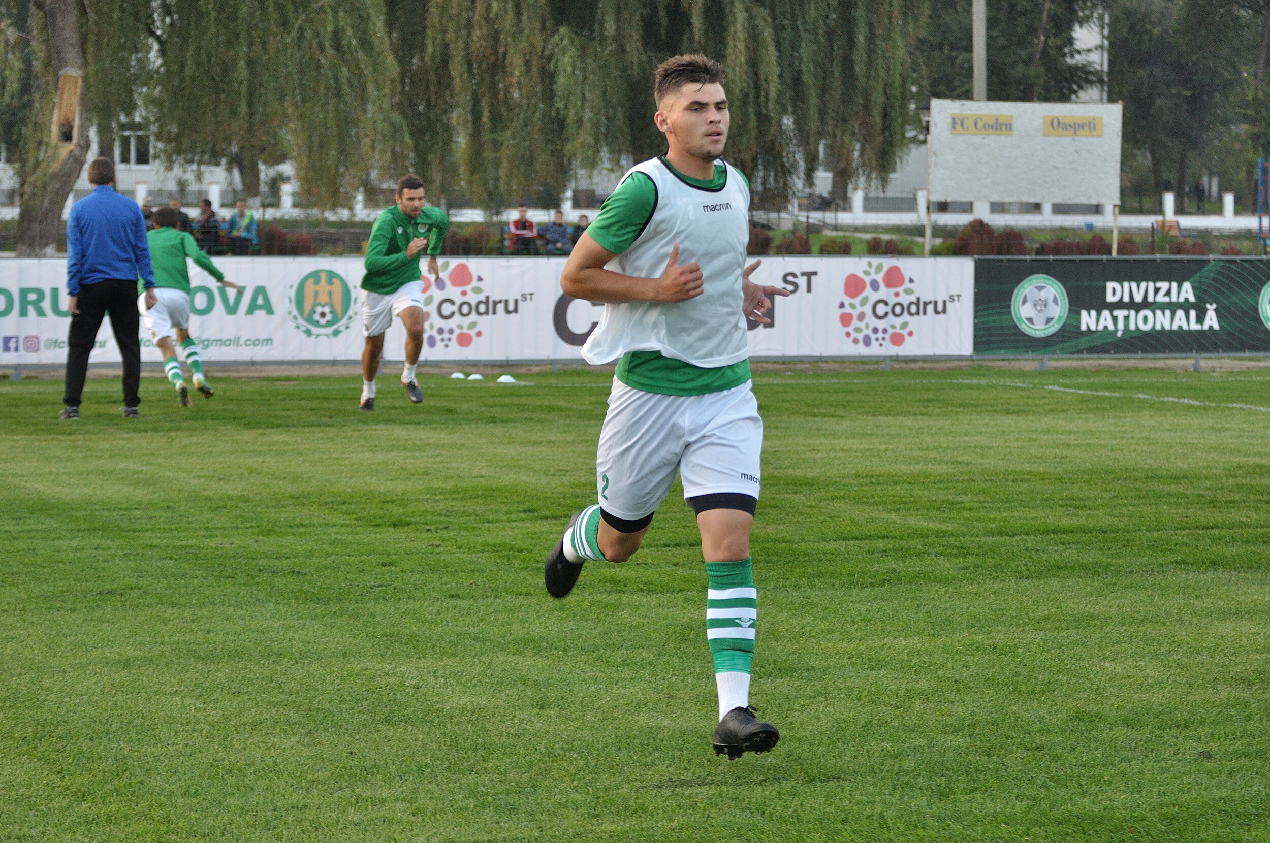 Codru_Zimbru_058.jpg