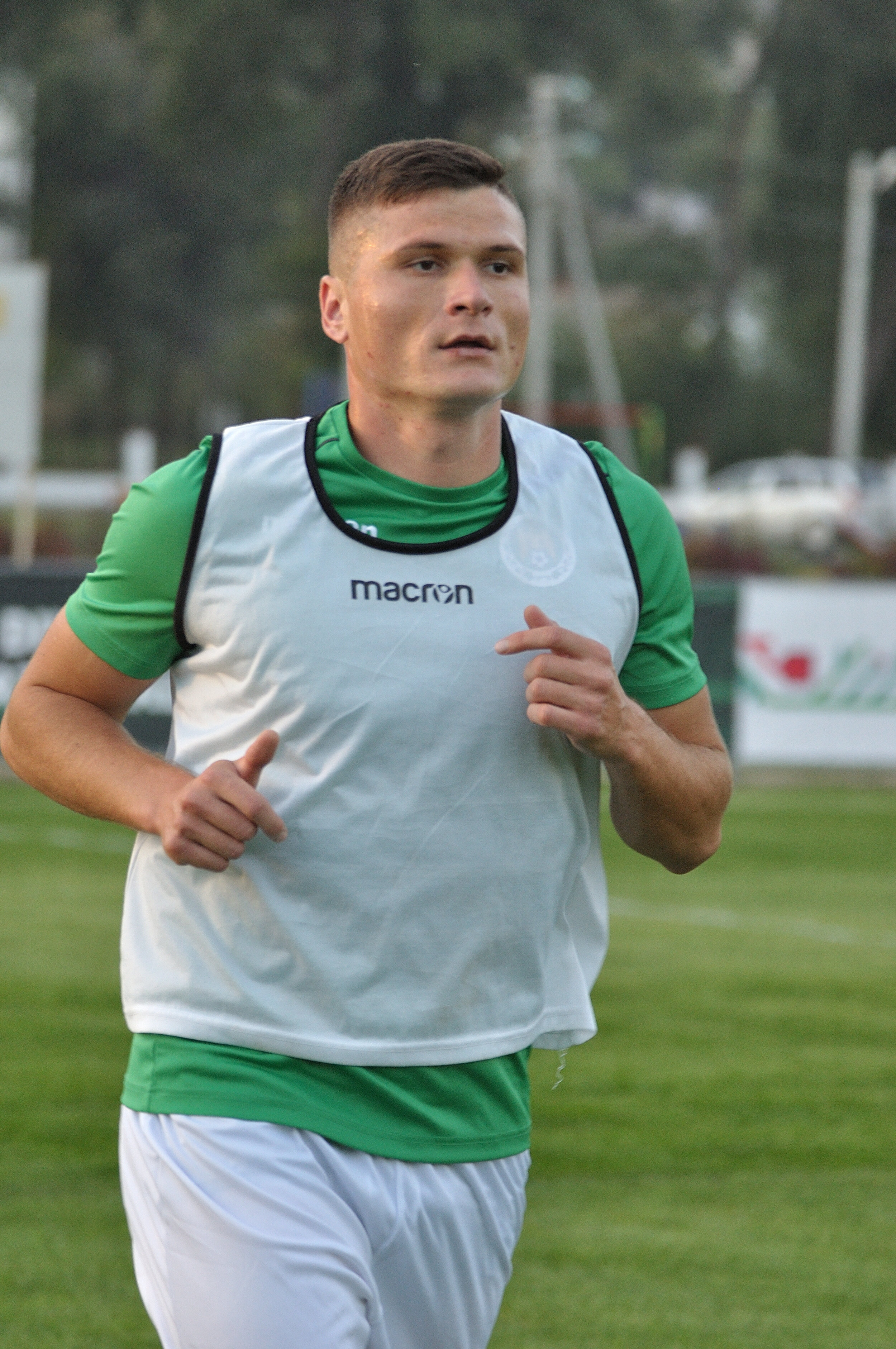 Codru_Zimbru_062.jpg